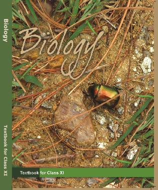 NCERT Solutions For Class 11 Biology PDF Download NCERT Class 11 Biology Solutions PDF Download (New) NCERT Solutions PDF Download Class 11 Biology Solutions NCERT Solutions For Class 11 Biology Solutions NCERT Solutions For Class 11 Biology Solutions NCERT Solutions For Class 11 Biology Solutions