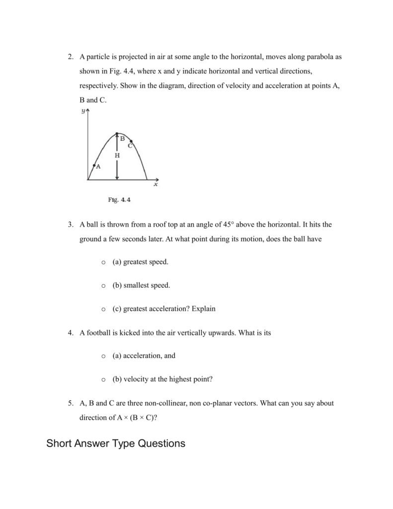 Important Questions For Class 11 Physics Chapter 3 Motion in a Straight Line