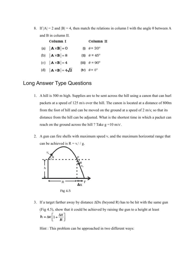 Important Questions For Class 11 Physics Chapter 3 Motion in a Straight Line