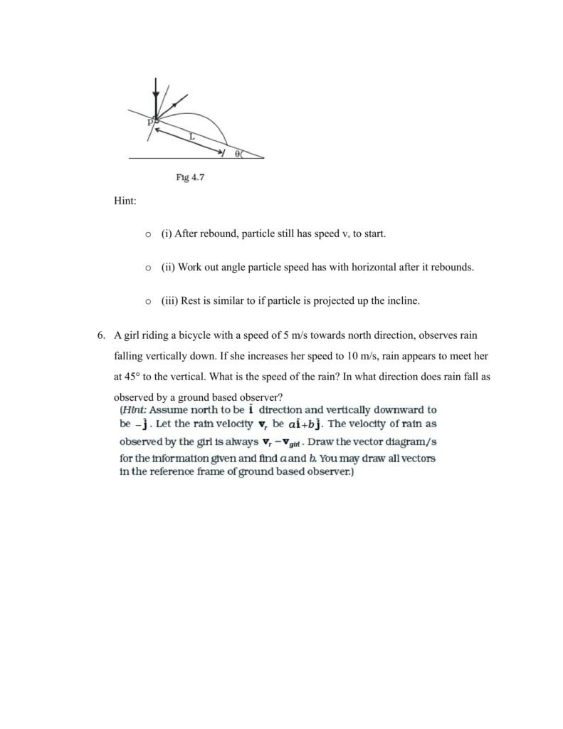 Important Questions For Class 11 Physics Chapter 3 Motion in a Straight Line
