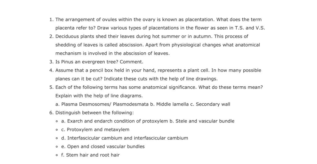 Important Questions For Class 11 Biology Ch 6 Anatomy of Flowering Plants
