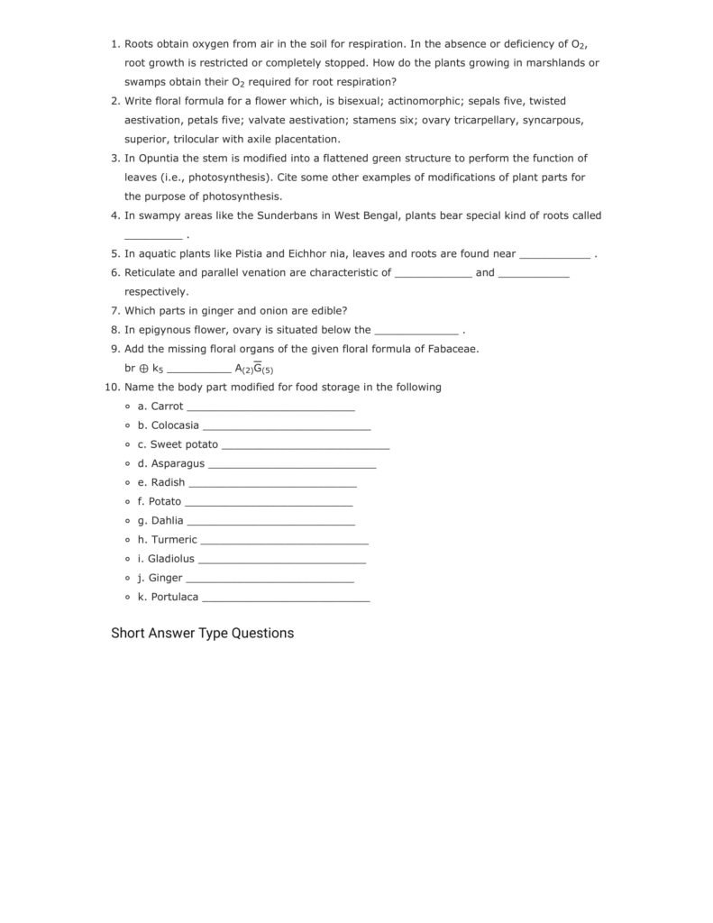 Important Questions For Class 11 Biology Chapter 5 Morphology of Flowering Plants
