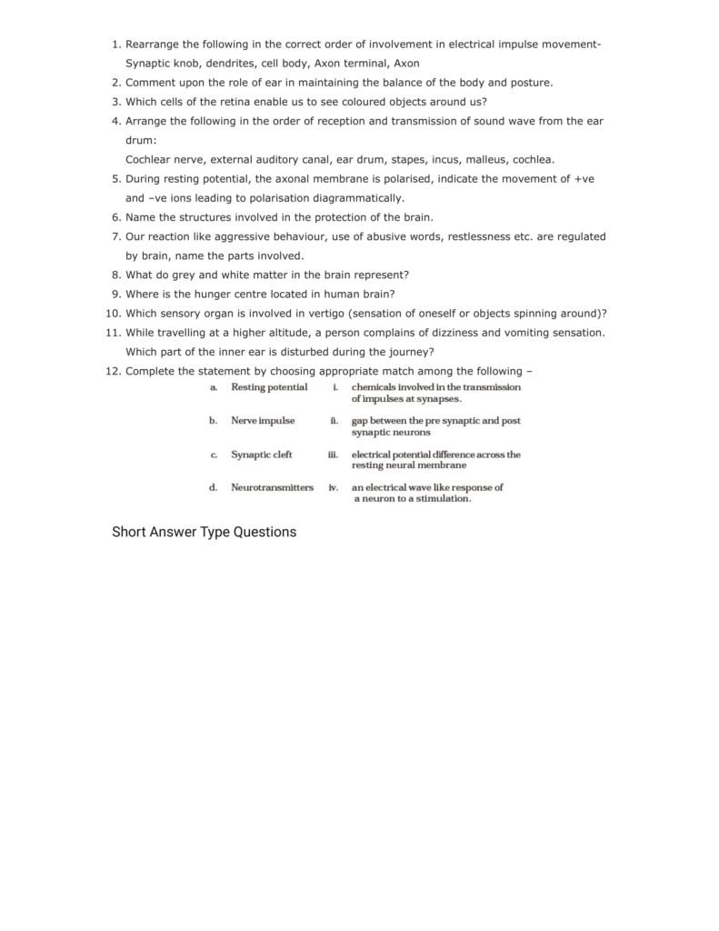 Important Questions For Class 11 Biology Ch 21 Neural Control and Coordination