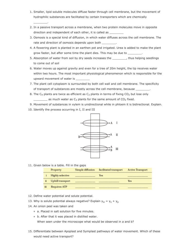 Important Questions For Class 11 Biology Ch 11 Transport in Plants