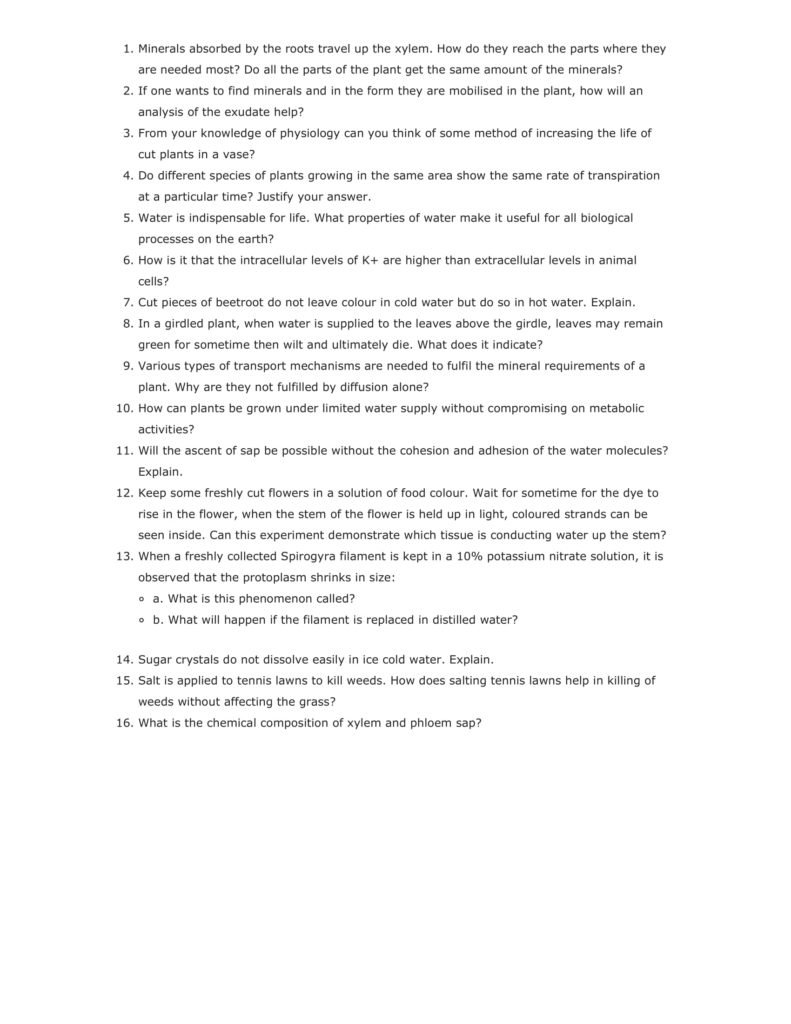 Important Questions For Class 11 Biology Ch 11 Transport in Plants