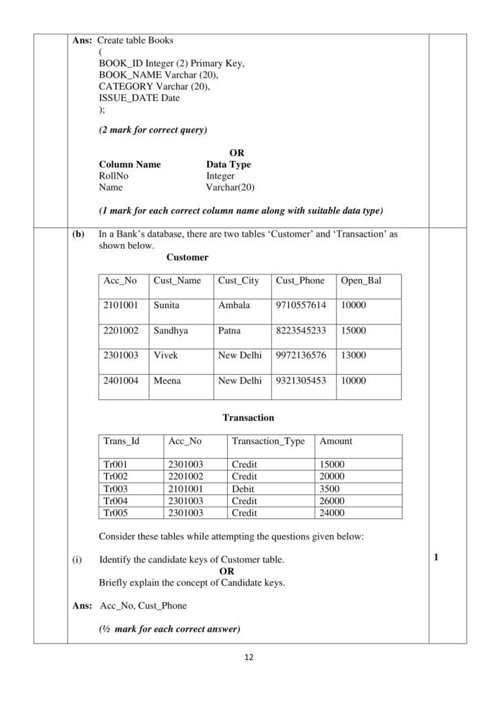 class exam x pattern 12 Papers Class Practices Solved Informatics For CBSE