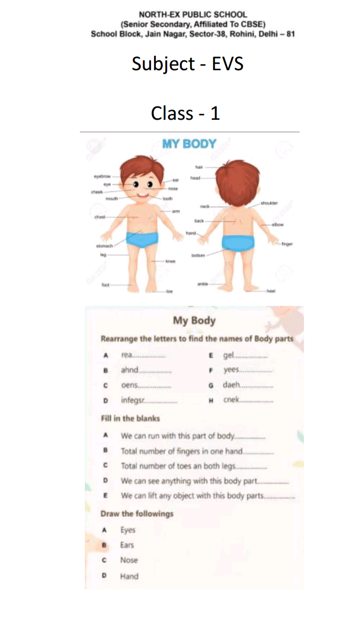 body-parts-worksheet-for-grade-1-pdf-body-missing-letters-worksheet