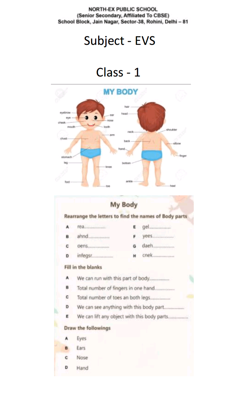 evs class 1 online classes cbse worksheets 2020 21 ncert books solutions cbse online guide syllabus sample paper