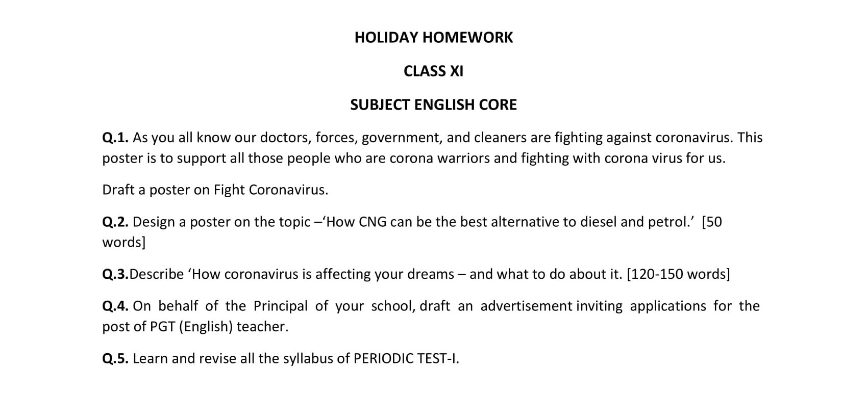 english holiday homework for class 11