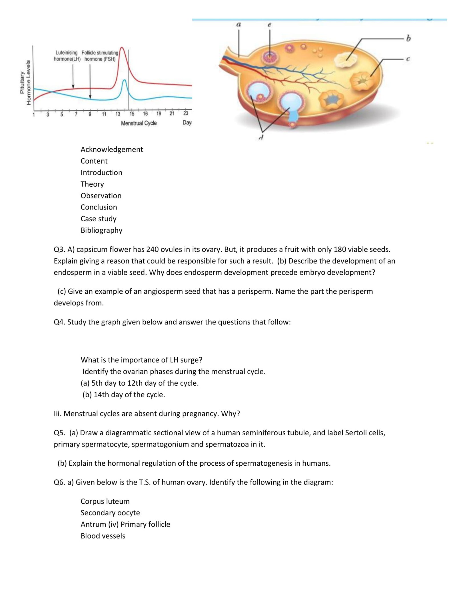 holiday homework english class 12